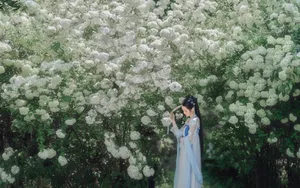 古风美女壁纸_5