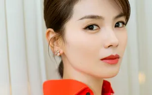 刘涛气质写真壁纸_3