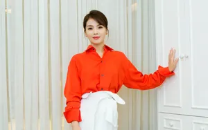 刘涛气质写真壁纸_5
