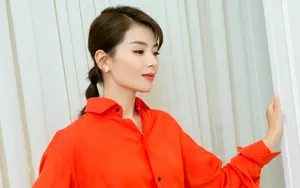 刘涛气质写真壁纸_6
