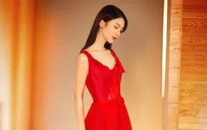 金晨性感写真壁纸_6