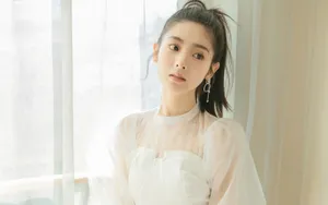 邢菲性感白纱透视裙壁纸