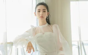 邢菲性感白纱透视裙壁纸_2