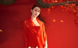 宣璐唯美古装壁纸_5