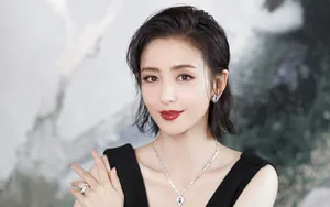 佟丽娅性感迷人壁纸_5