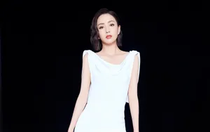 佟丽娅优雅写真桌面壁纸_3