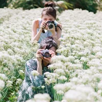 美女花海头像第1张