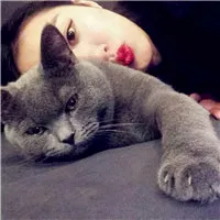 抱猫的女生头像第1张