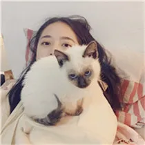 抱猫女头像第1张