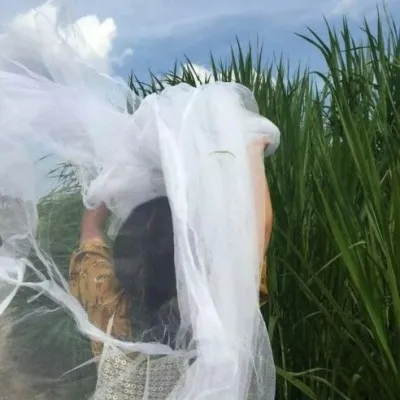 婚纱女头像第1张