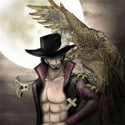 海贼王鹰眼高清头像精选第1张