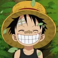 最新海贼王qq头像第1张