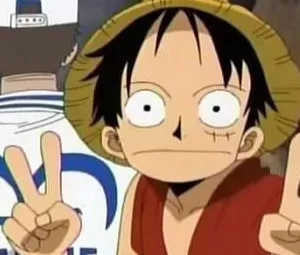 海贼王头像图片大全最新截图第1张