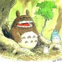 一只大大胖胖的龙猫可爱动漫头像图片第1张