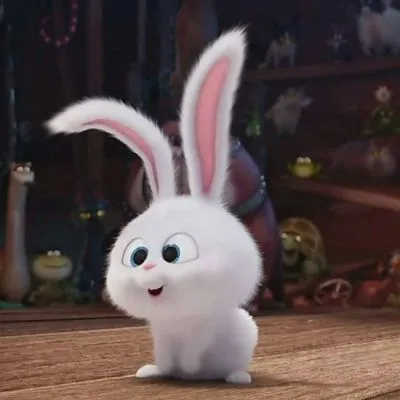 爱宠大机密兔子头像图片第1张