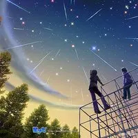 小清新唯美静物qq头像第1张