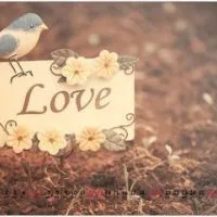 QQ群头像大全唯美风景图片第1张