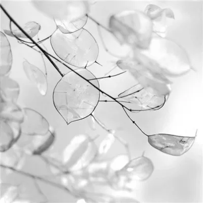 qq头像黑白伤感孤独风景图片第1张