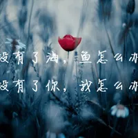 微信头像图片大全风景带字字款第1张