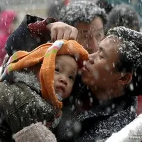 父亲节特辑温馨微信头像第1张