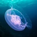 微信头像男成熟稳重风景图片大全第1张