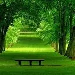 好看的微信风景头像清新自然第1张