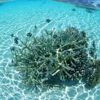 微信头像风景大海夕阳图片高清版第1张