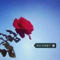 优雅有气质的微信头像带字第1张