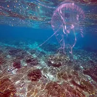 最新真实风景图片微信头像大全第1张