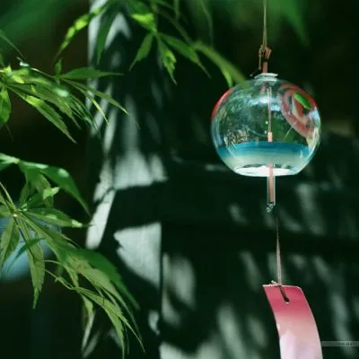 最唯美微信头像真实花草图片第1张