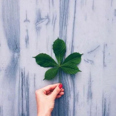 最好看的微信风景头像真实一点的第1张