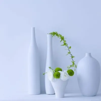 唯美小清新静物图片微信头像第1张