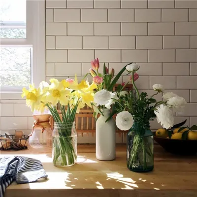 微信头像清新自然风景静物高清第1张