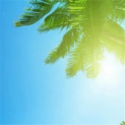 微信头像唯美风景暖心励志的第1张