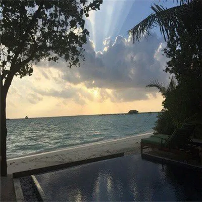 微信头像风景花草唯美大全第1张