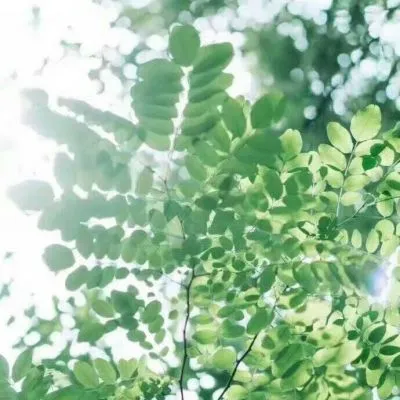 微信唯美暖心风景头像高清大全第1张