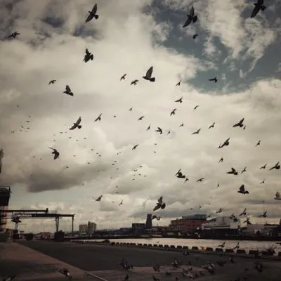 简单有意境的风景头像集微信高清第1张