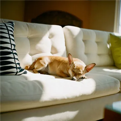 一个人安静美好微信头像精选第1张