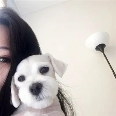 最新搞怪可爱动物头像微信萌宠第1张