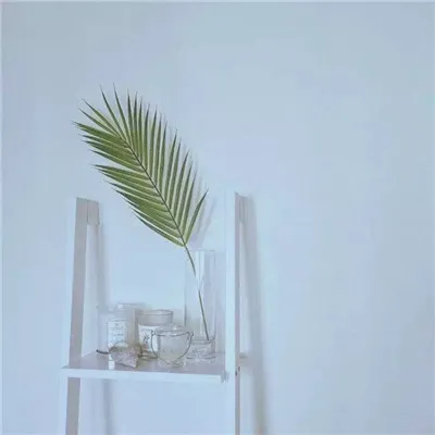 微信原创简约风景静物头像第1张