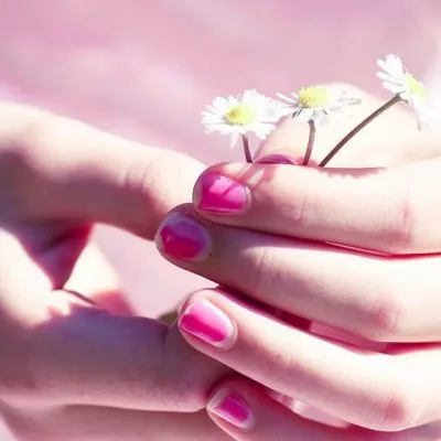 微信头像风景花朵图片大全唯美清新第1张