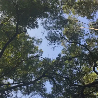 微信有意境唯美风景静态头像第1张