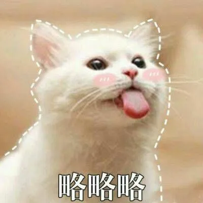 最火最搞笑的动物头像带字第1张