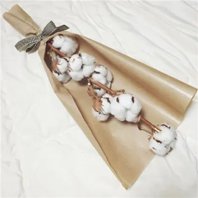 微信简单唯美木棉花头像高清第1张