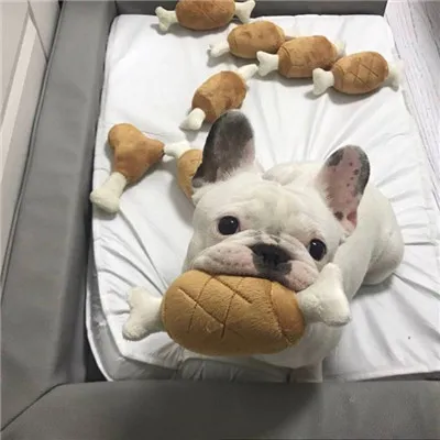 微信朋友圈头像背景图最新第1张