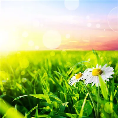 最美风景微信头像真实花草第1张