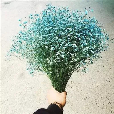 微信唯美满天星头像图片第1张