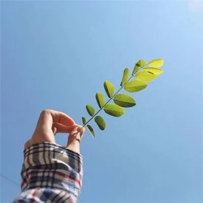 微信最吉利的好看头像有意境第1张