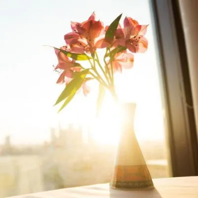 微信头像适合中年女性最新版第1张