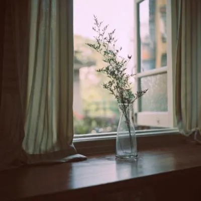 看了会带来好运的头像微信第1张